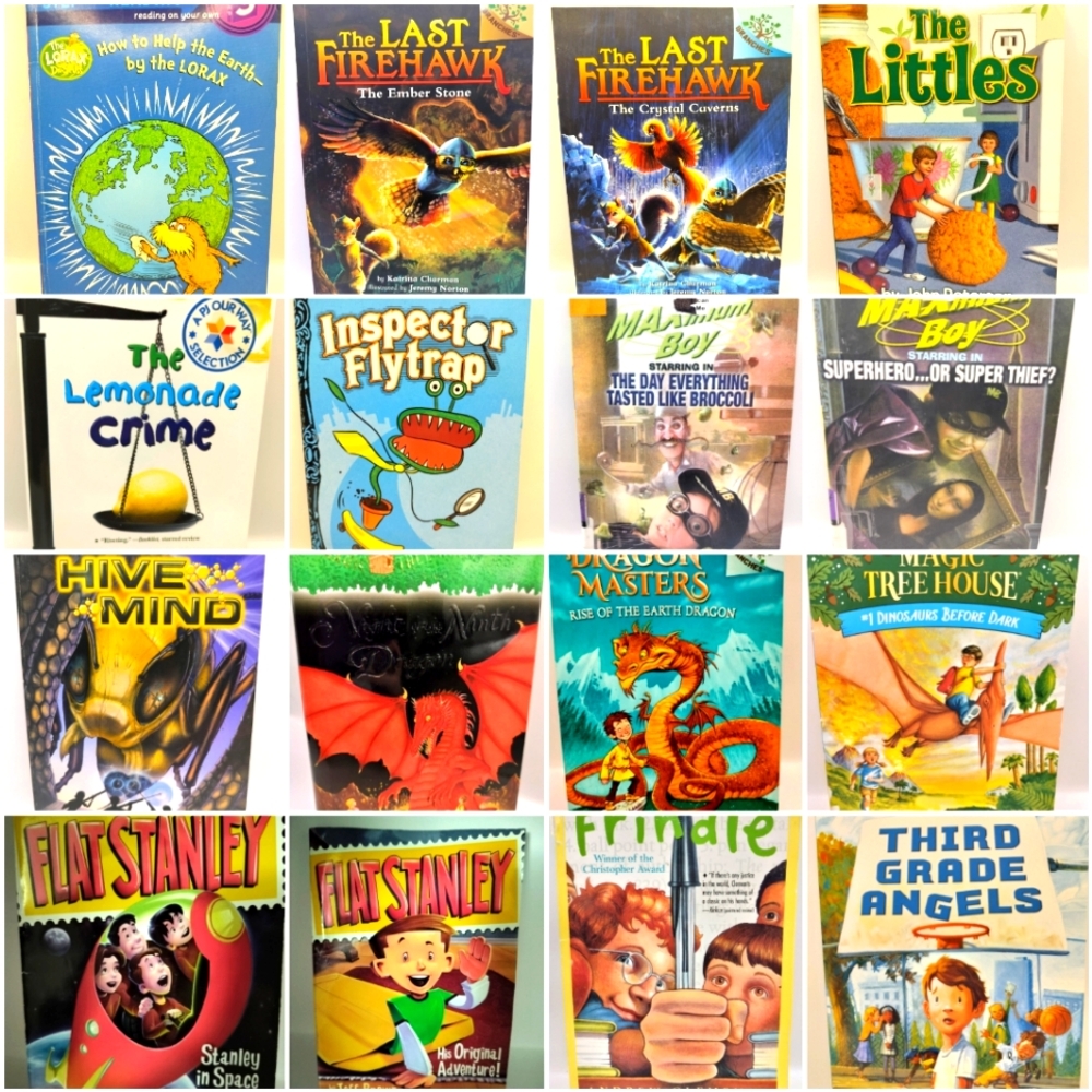 Scholastic Etc. Bulk 16 Chapter Books, Grades 1-3, Elementary Back To School